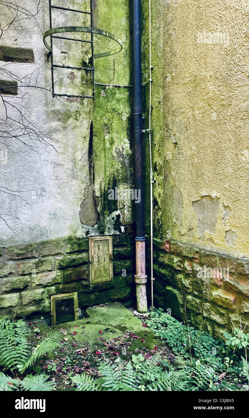 moss overgrown damp wall corner of dilapidated building Stock Photo