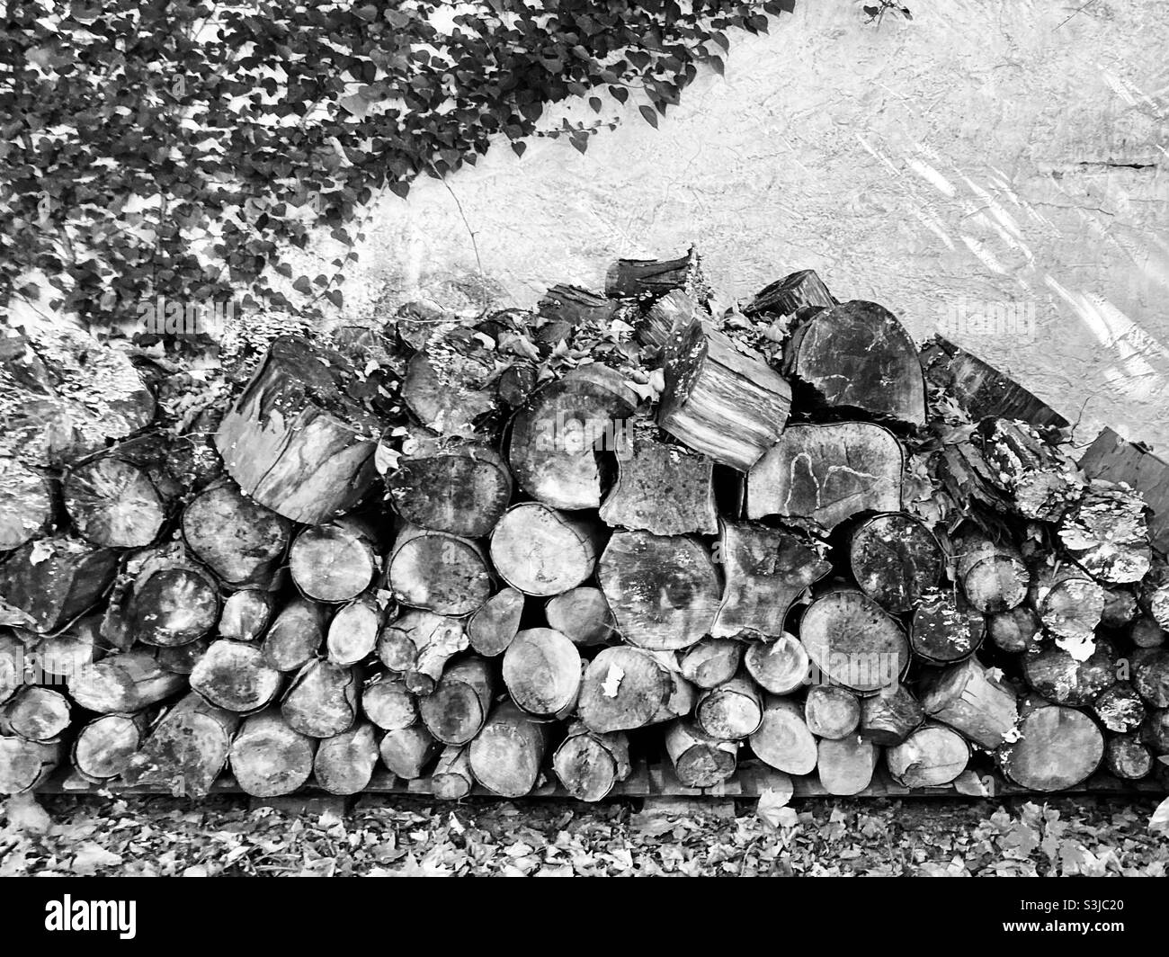 A pile of firewood stacked up against a wall Stock Photo