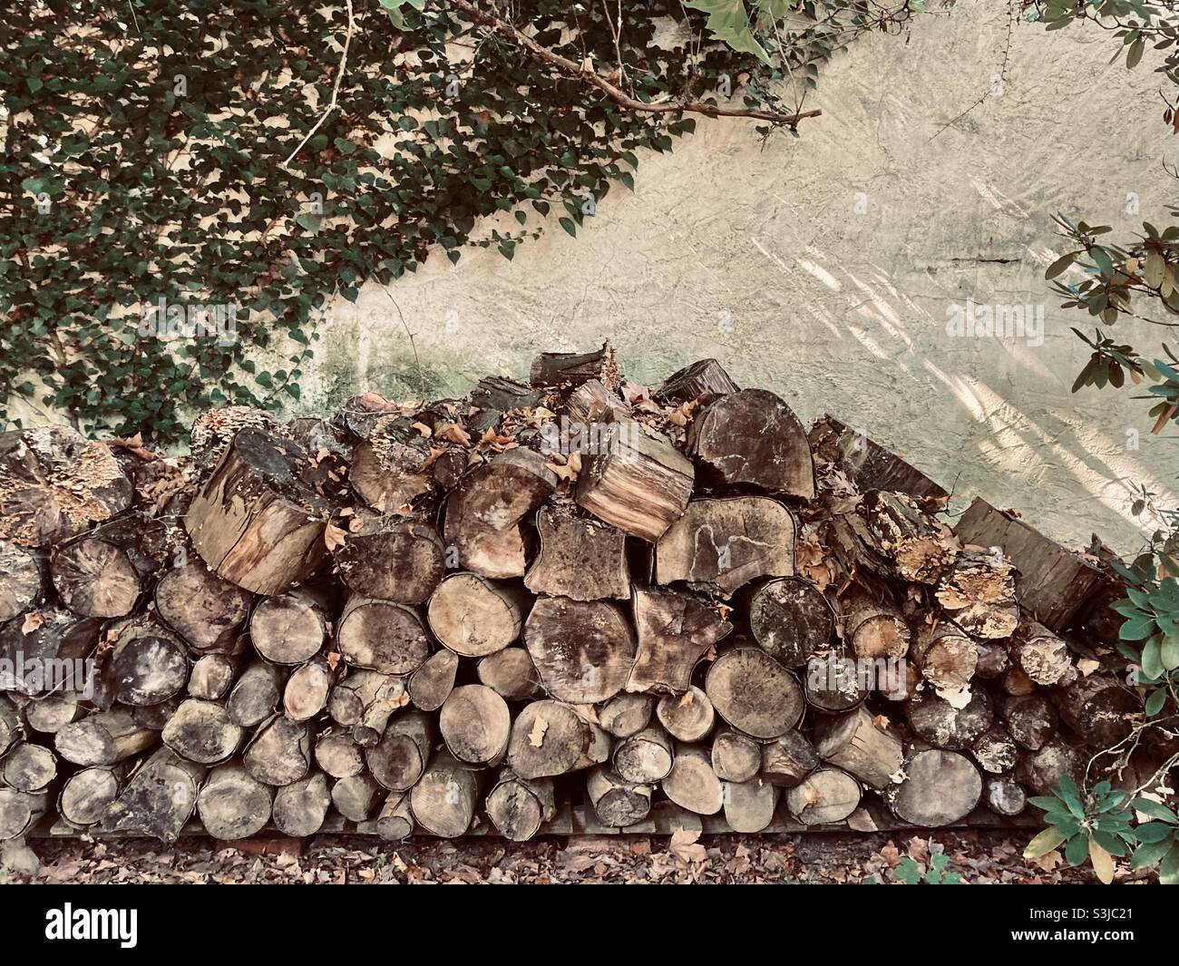 A pile of firewood stacked up against a wall - Smartphone Captured Stock Image
