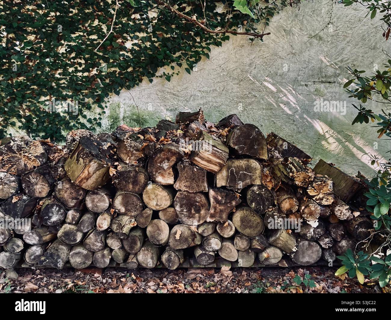 A pile of firewood stacked up against a wall - Smartphone Captured Stock Image