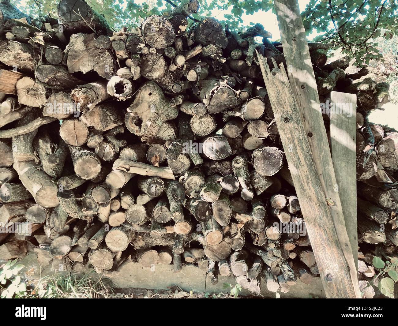 A pile of firewood stacked up against a wall - Smartphone Captured Stock Image