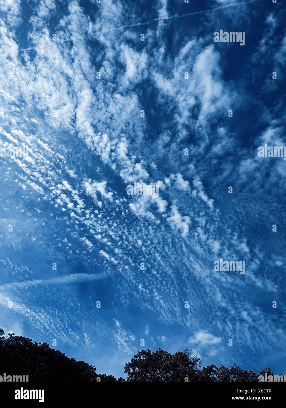 A unique pattern of white clouds on an azure sky - Smartphone Captured Stock Image