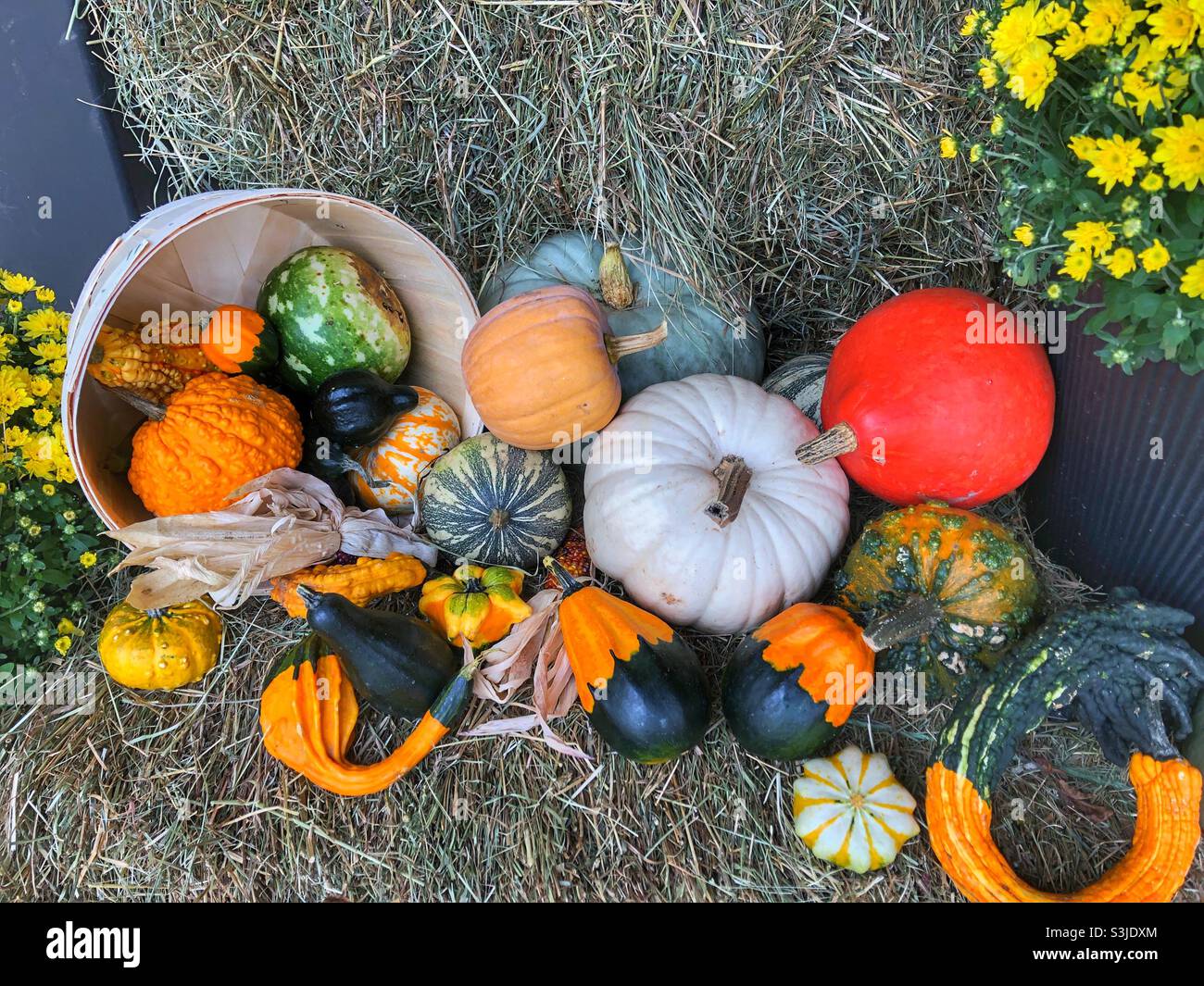 Colourful display of autumnal harvest. Stock Photo