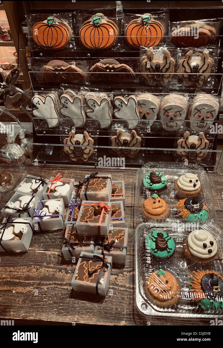 Halloween trick or TREATS - Smartphone Captured Stock Image