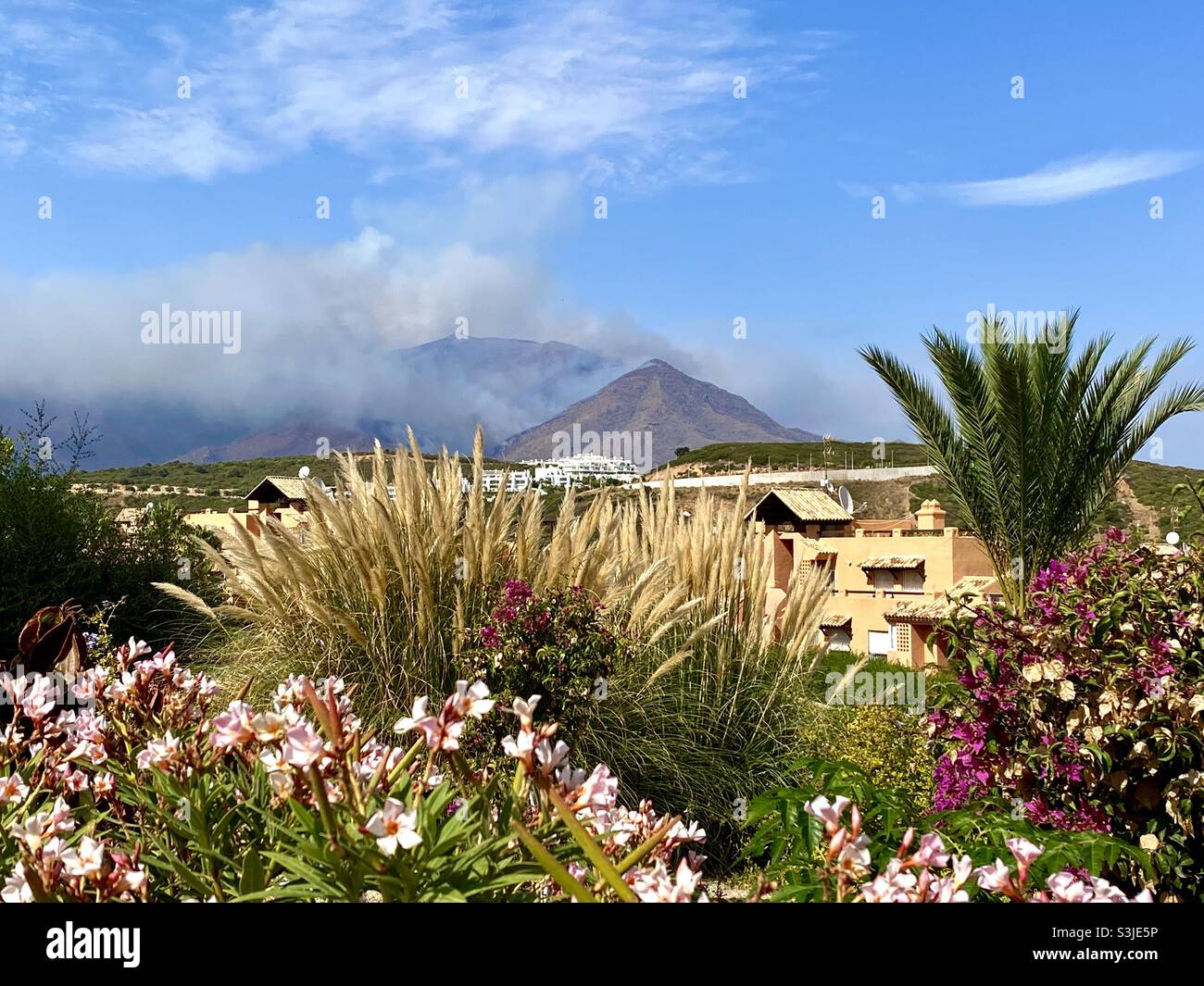 Panoramic view of a forest fire on the Bermeja mountains in southern Spain Stock Photo