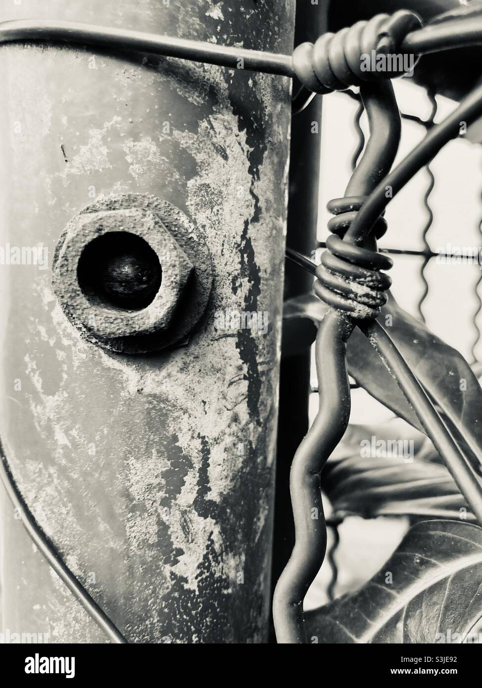 Close up of wire mesh of fence - Smartphone Captured Stock Image