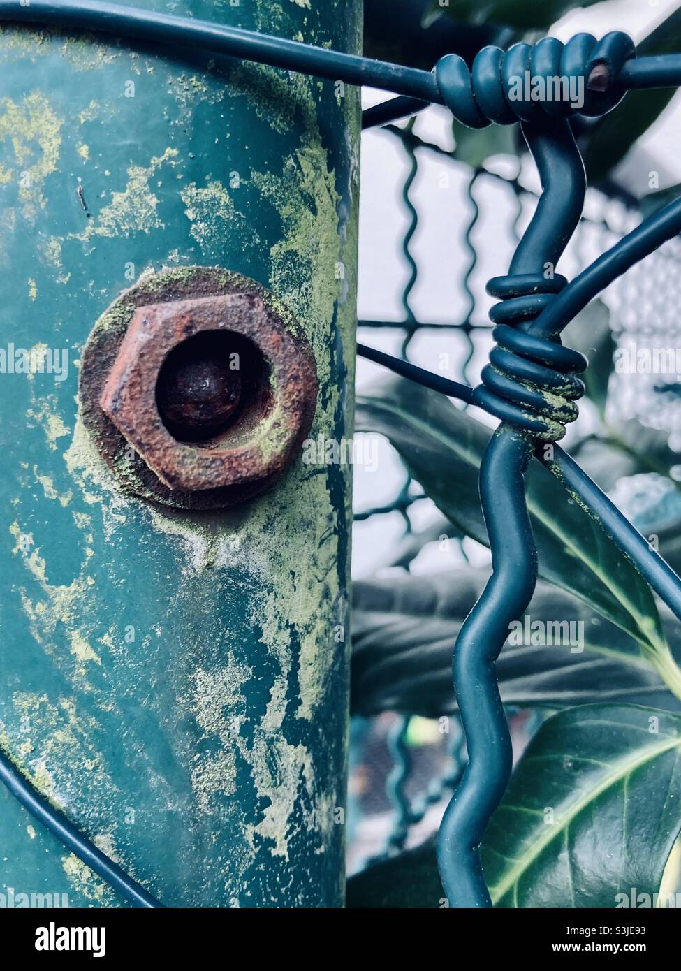 Close up of wire mesh of fence - Smartphone Captured Stock Image