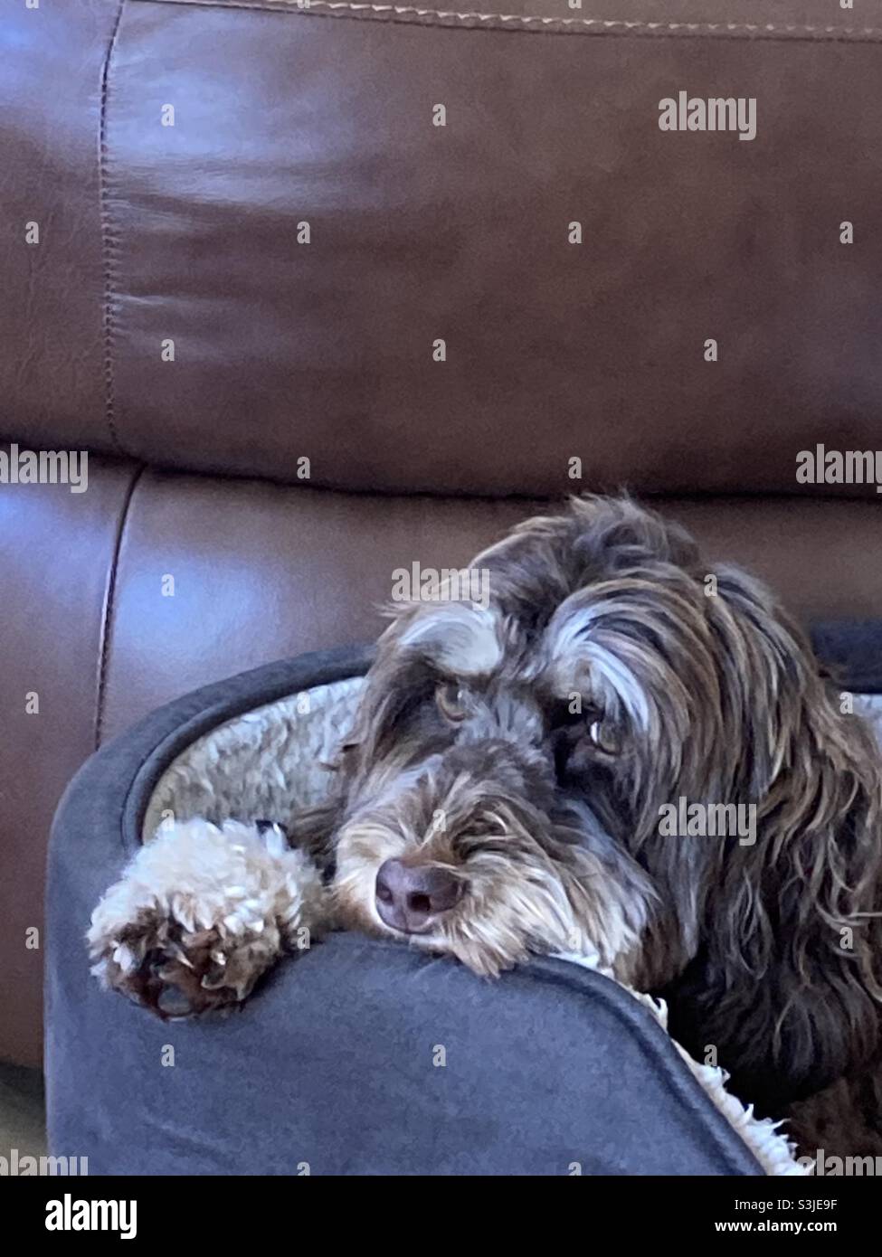 When is the rain going to stop? - Smartphone Captured Stock Image