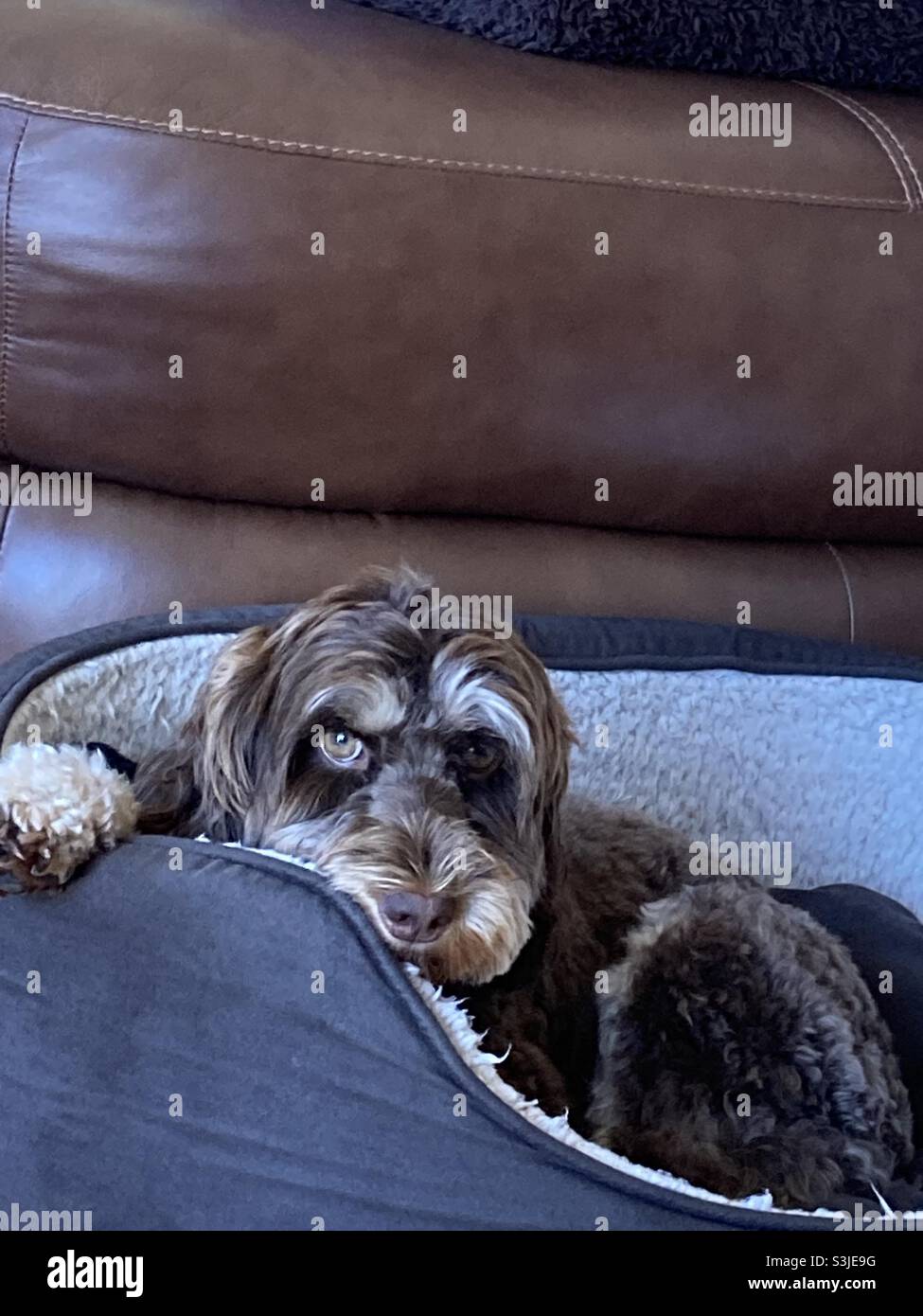 Mum, please stop taking pictures of me! - Smartphone Captured Stock Image