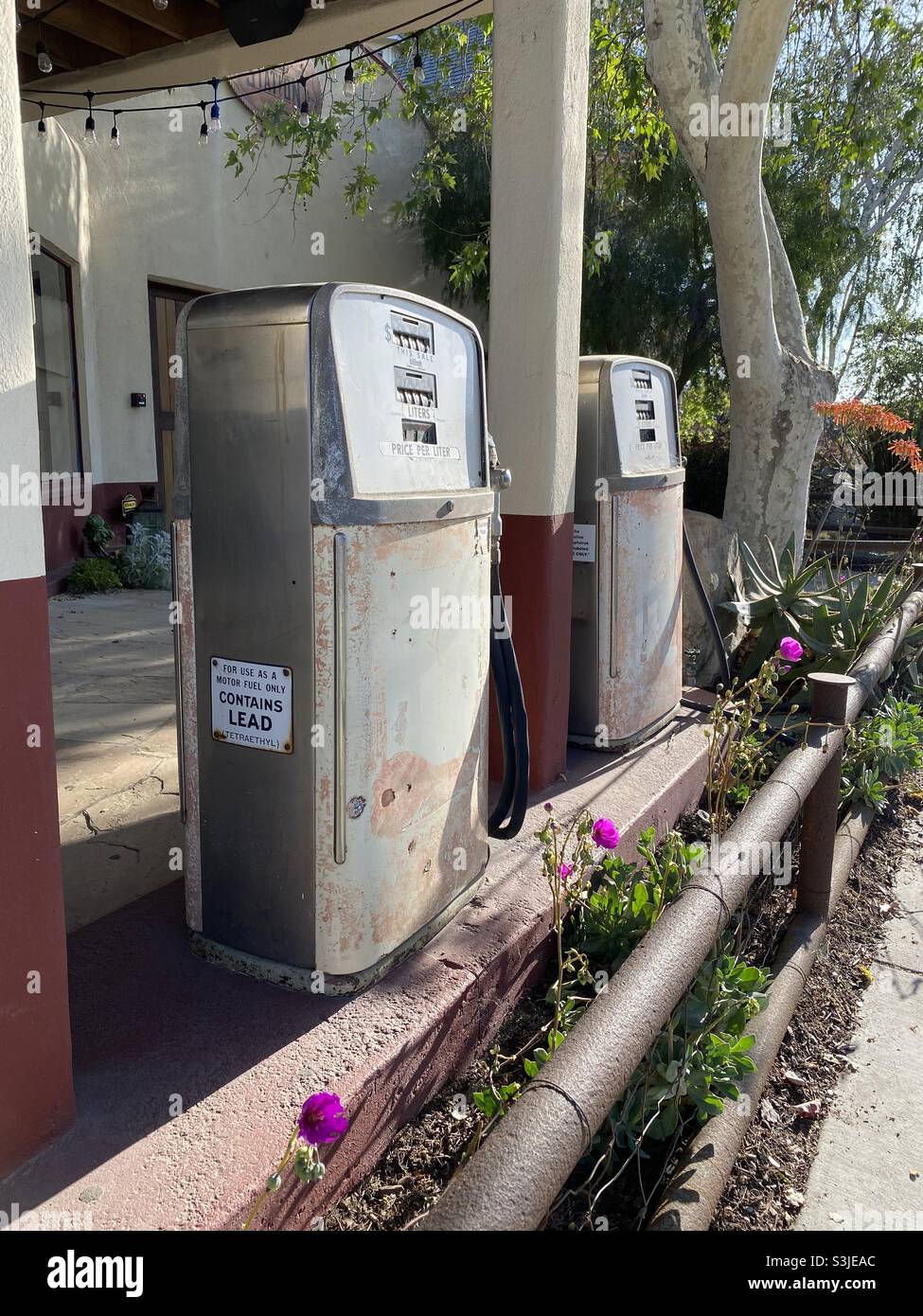 Old flowers hires stock photography and images Alamy