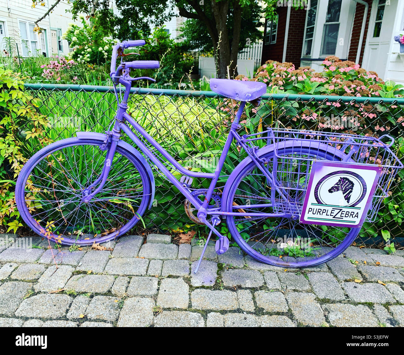 Purple zebra boutique hires stock photography and images Alamy