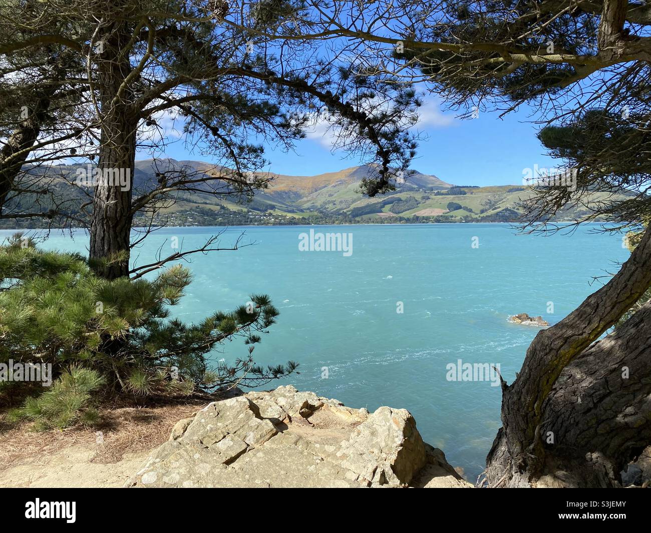Quail Island, Lyttelton Harbour, New Zealand Stock Photo - Alamy
