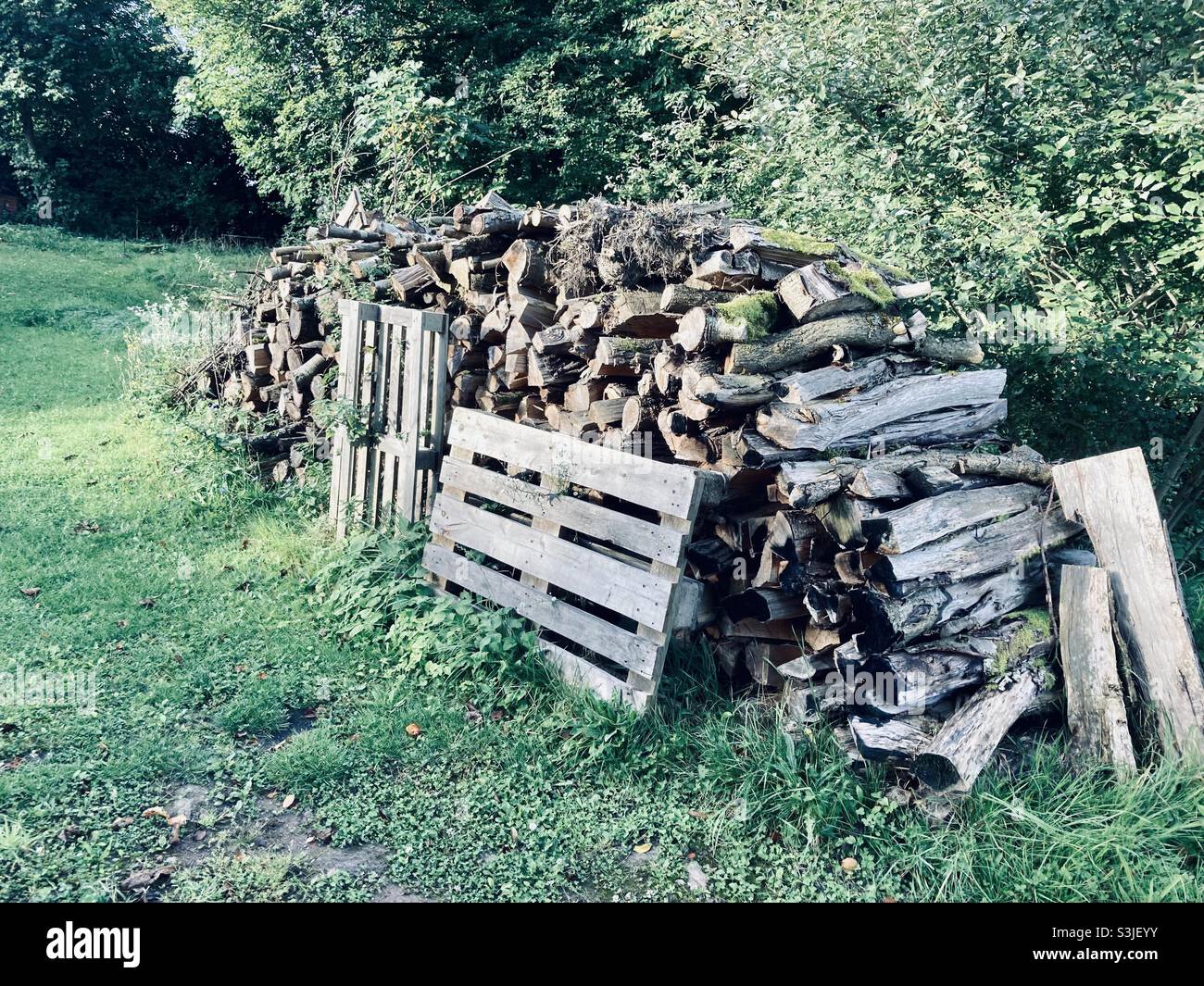 A pile of firewood stacked up - Smartphone Captured Stock Image