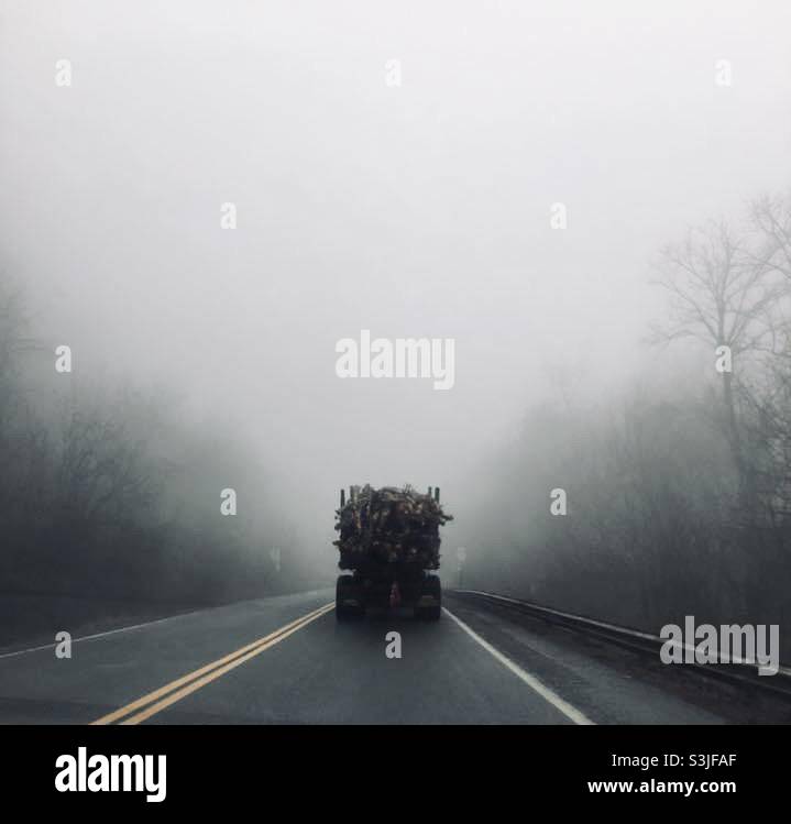 Drive in the fog Stock Photo Alamy