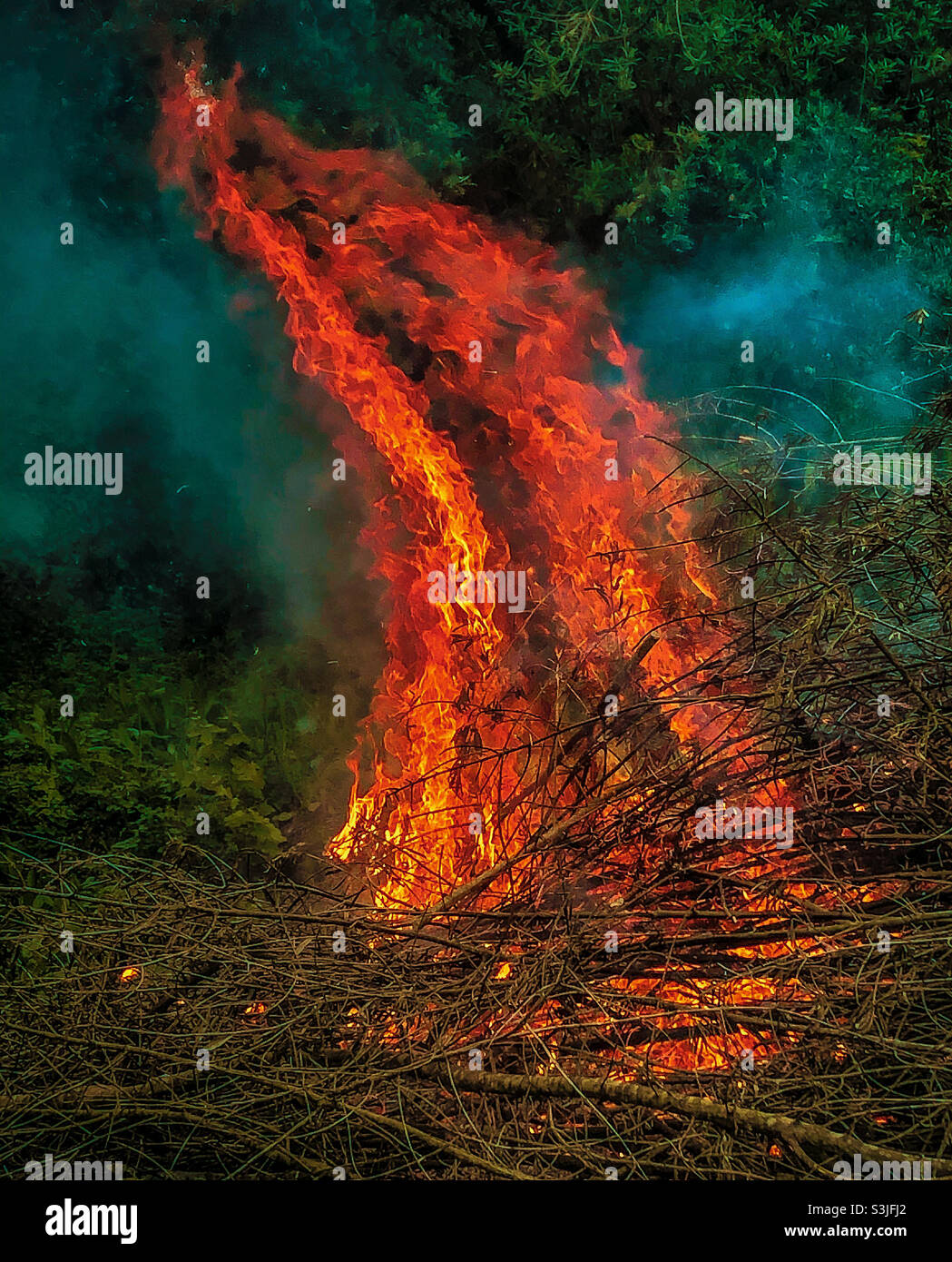 Large, garden bonfire with an deep orange flames, leaning in the wind - Smartphone Captured Stock Image