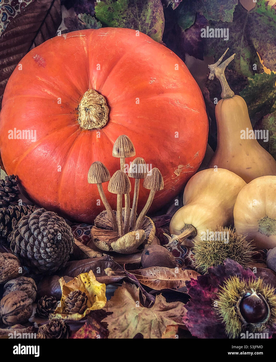 Autumnal harvest display around a wooden carving of mushrooms, including pumpkin, squash, nuts, leaves and fir cones - Smartphone Captured Stock Image