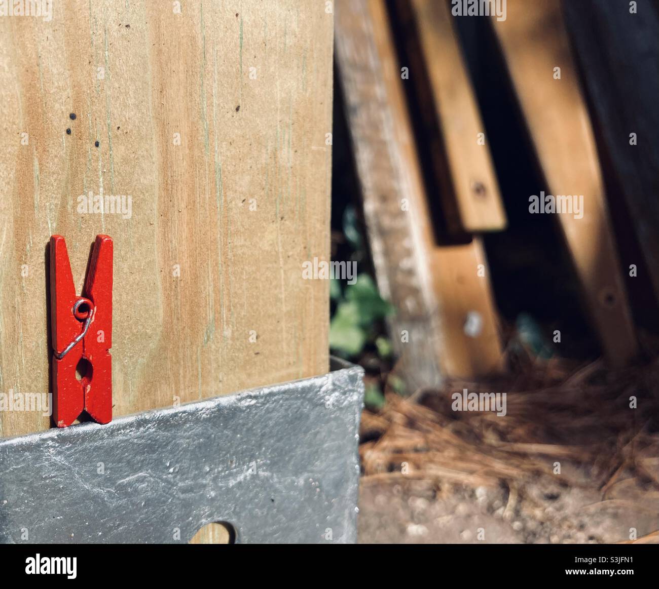 Red clothespin Stock Photo