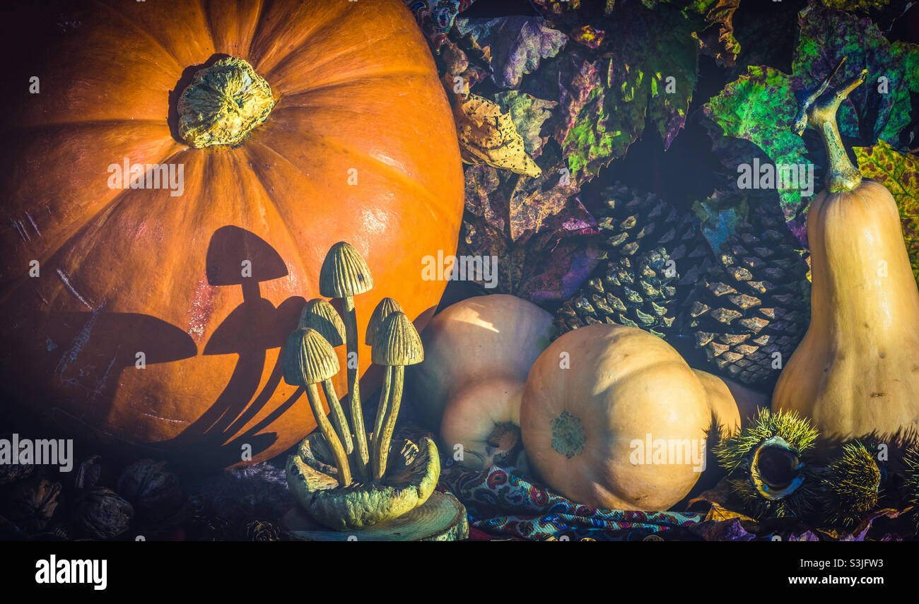 Dark and shadowy autumnal display, with pumpkins, squash, fir cone, nuts and a carved wooden mushrooms - Smartphone Captured Stock Image