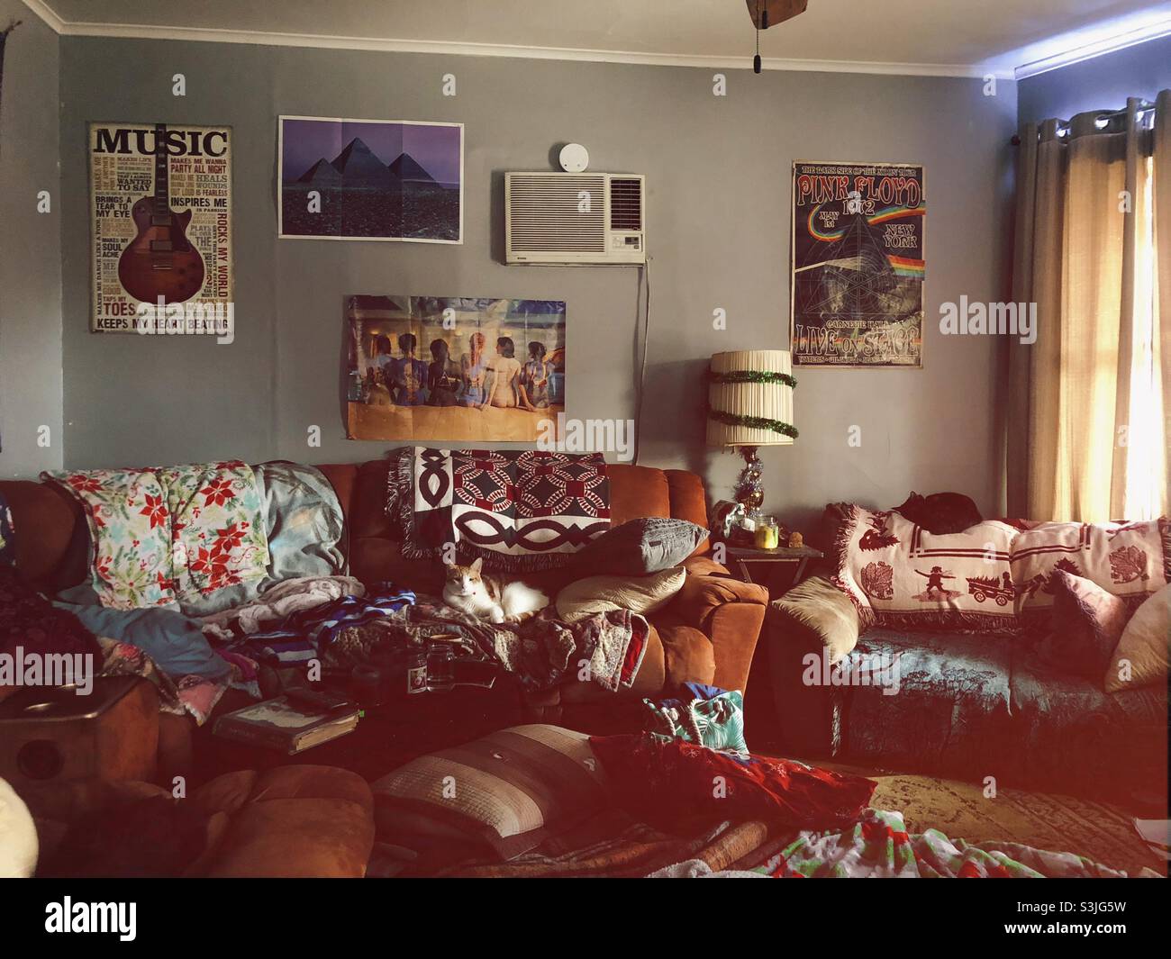 Cozy Retro Style Living Room With Music Posters And Cats Stock Photo - Alamy