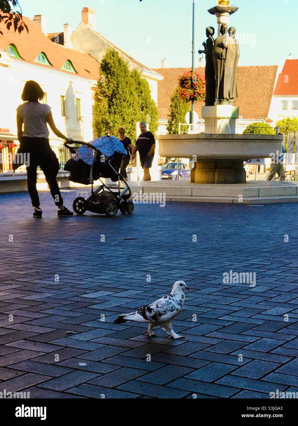 Husegkut (Fountain of Fidelity) with mother pushing pram and pigeon, early autumn, Sopron, Hungary - Smartphone Captured Stock Image