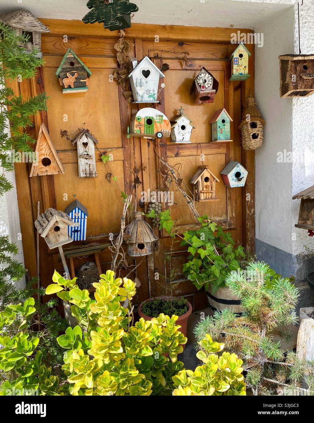 Little bird’s houses collection Stock Photo