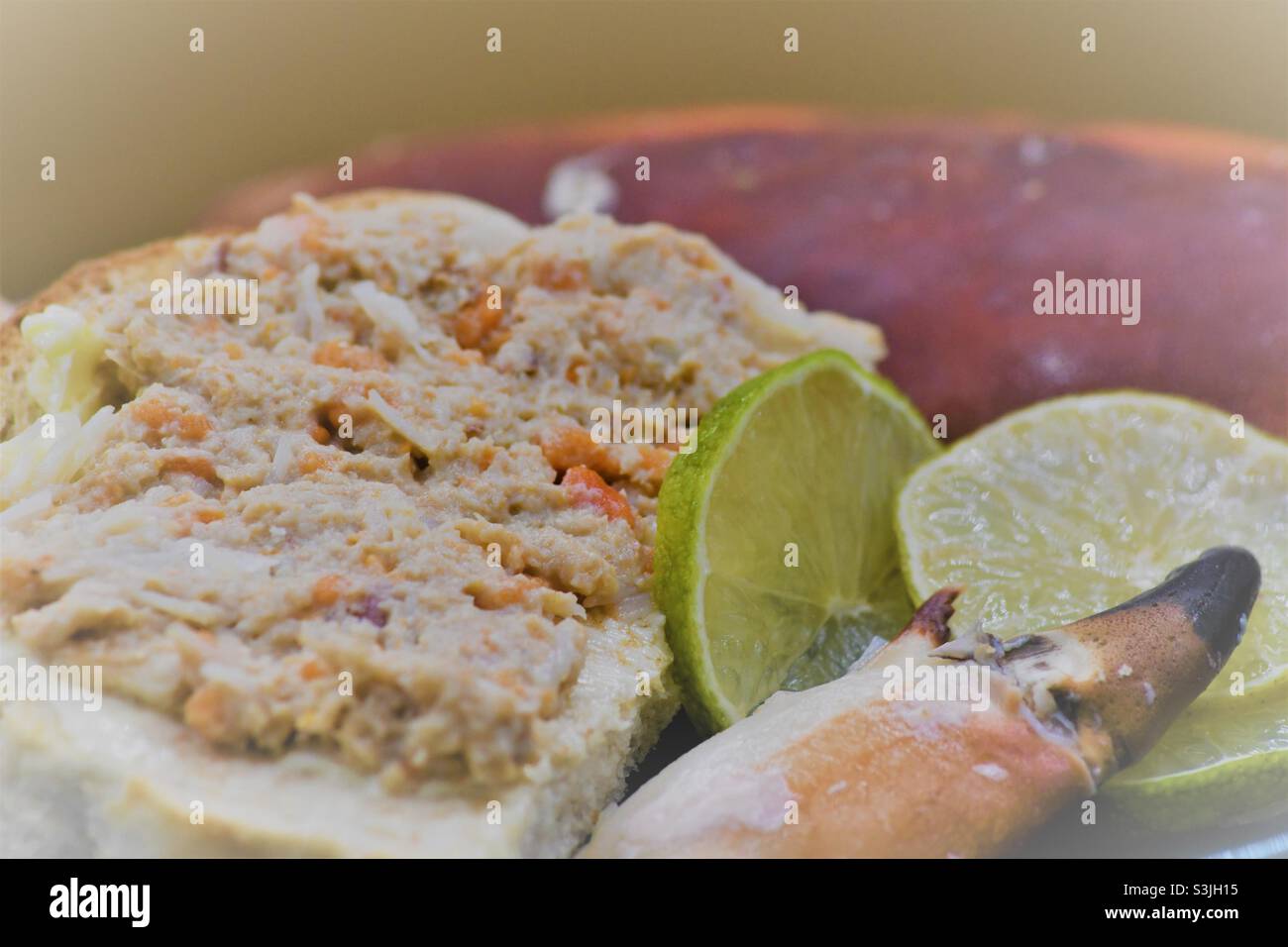 Dressed crab seafood hi-res stock photography and images - Alamy
