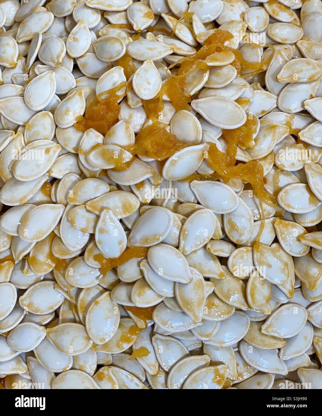 Organic fresh pumpkin seeds ready to roast Stock Photo Alamy