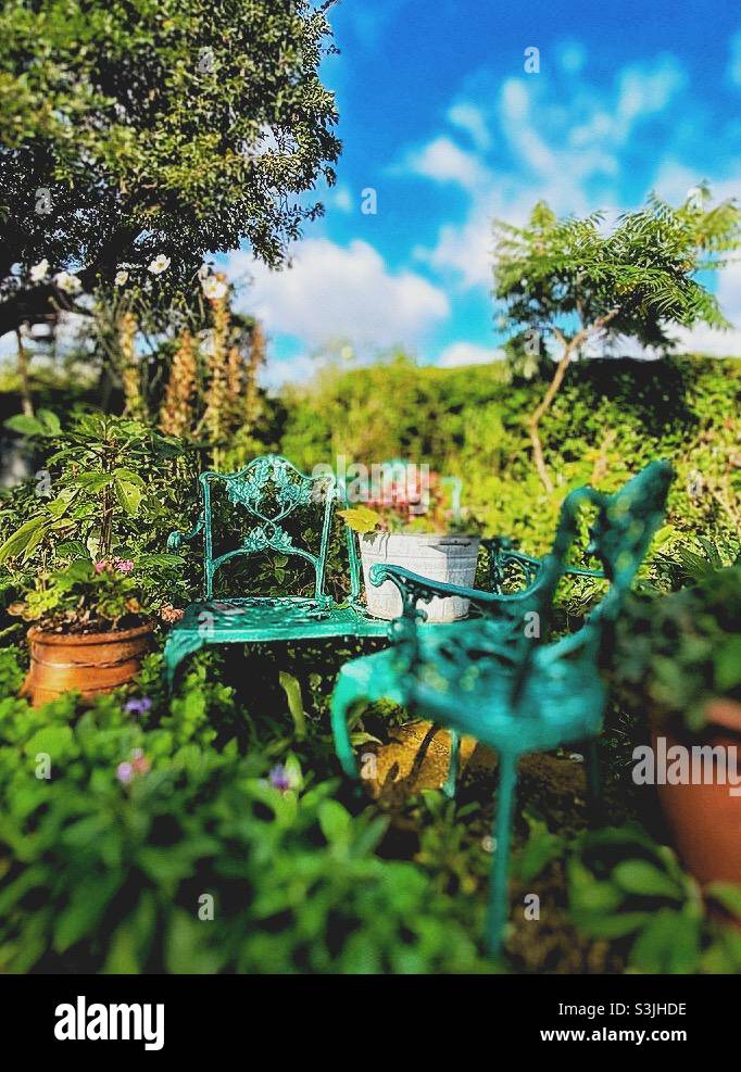 Late summer English garden. - Smartphone Captured Stock Image