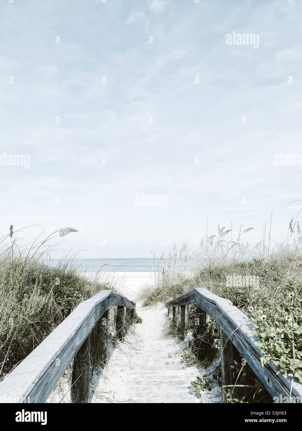 Walkway to Florida Beach - Smartphone Captured Stock Image