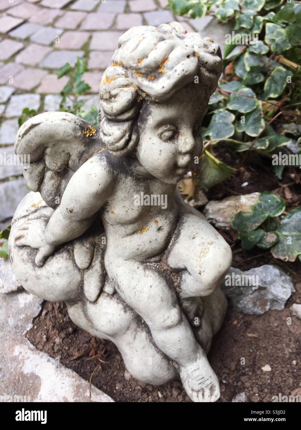 Little stone angel figurine in a flower bed - Smartphone Captured Stock Image