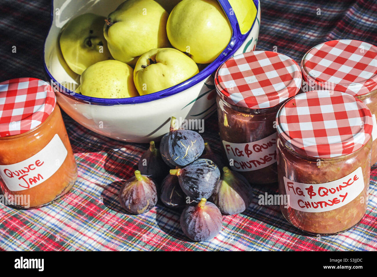 Homemade preserves made with homegrown fruits, fresh fruits and jam laid out of a tartan tablecloth - Smartphone Captured Stock Image