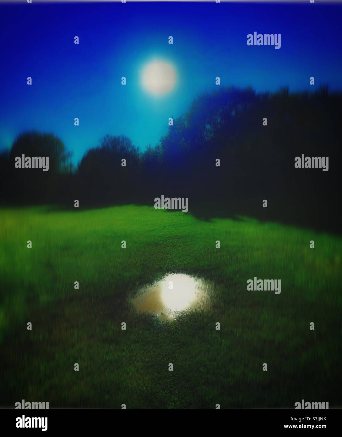 Dark Landscape - Smartphone Captured Stock Image Dark Landscape - Smartphone Captured Stock Image