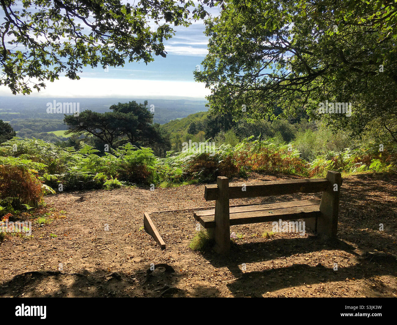Amazing bench with a stunning view over the South Downs, at Black Down, the highest point in Sussex and the South Downs National Park Stock Photo