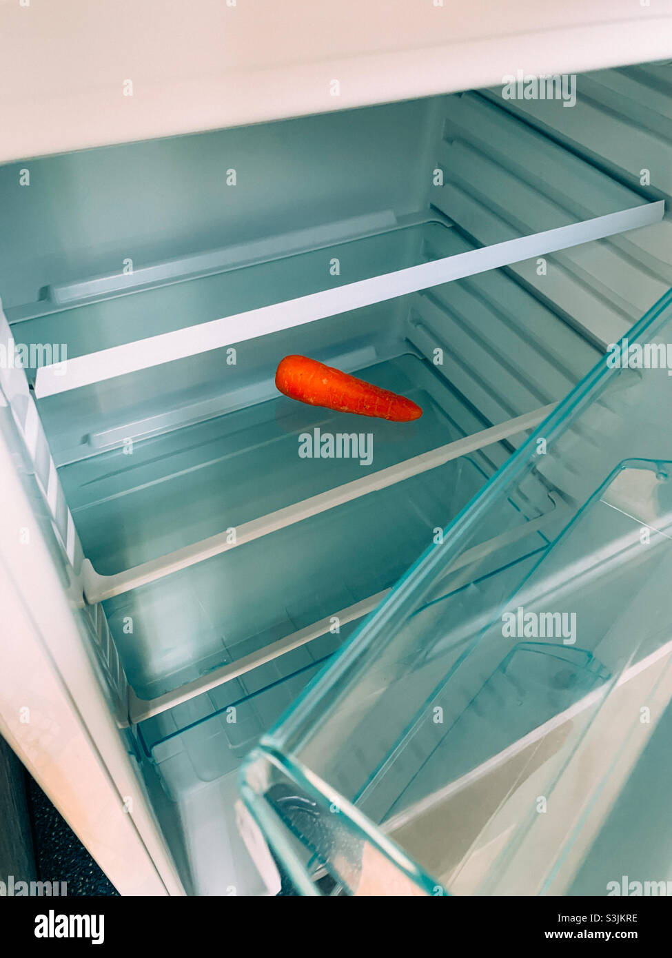 Single carrot on a shelf inside a refrigerator Stock Photo