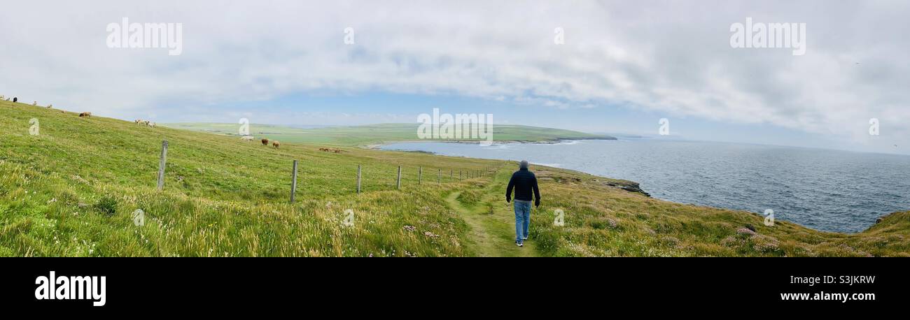 Walking coastal path to Marwick Head, Orkney, Scotland. Panoramic Stock Photo