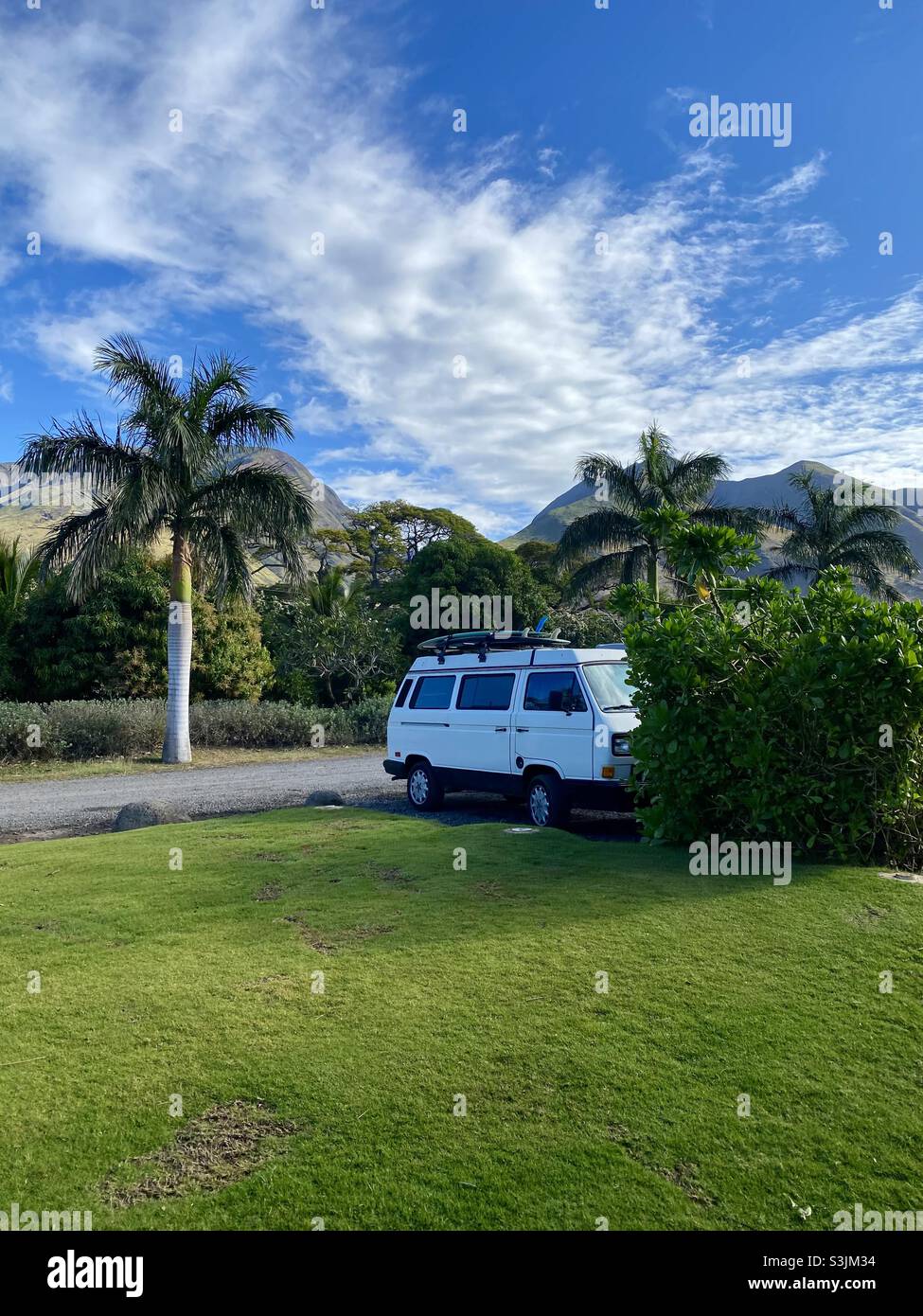 VW van parked in front of Maui mountains surrounded by palm trees. Stock Photo