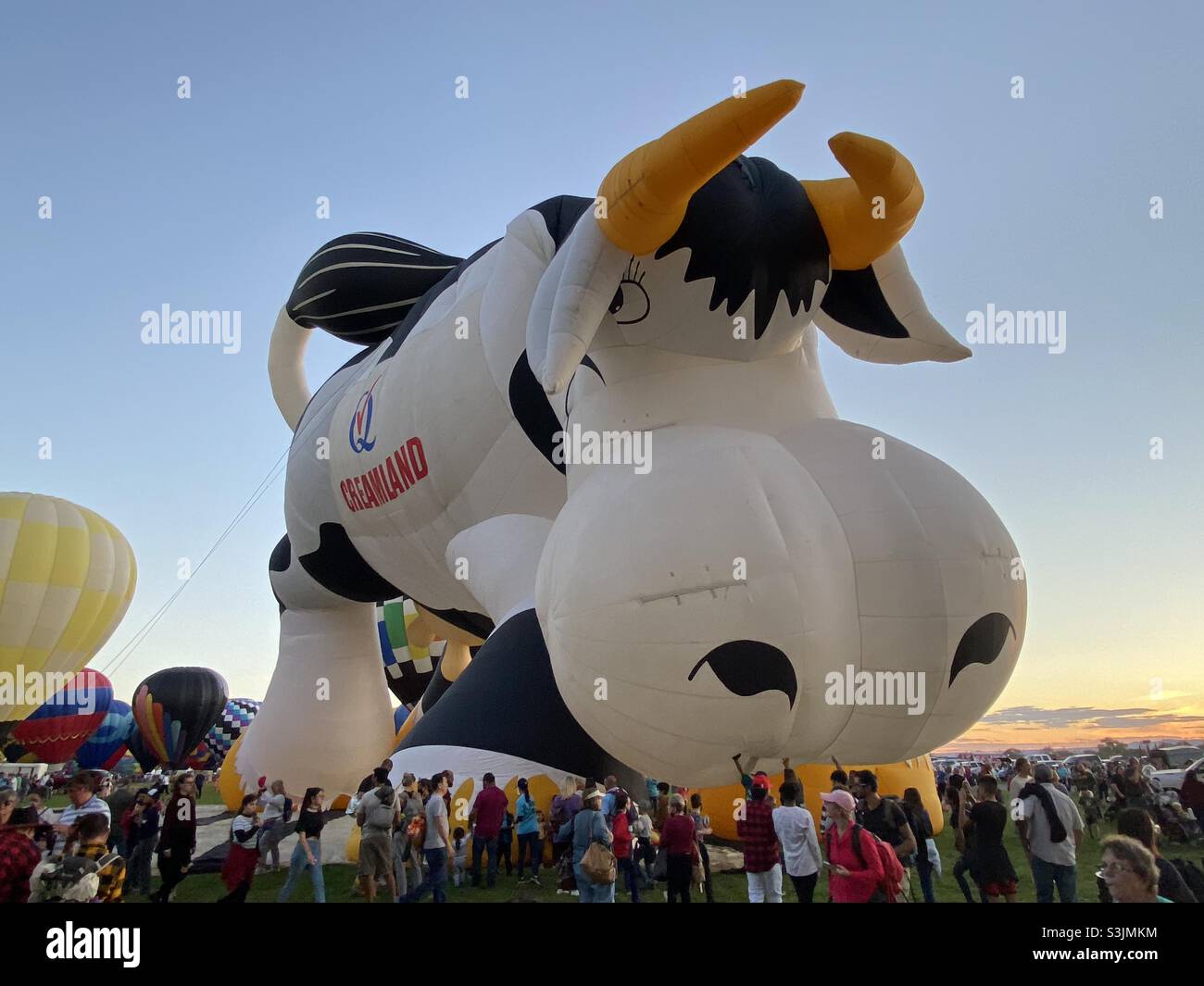 Creamland cow Hot air balloons at the Albuquerque Balloon Fiesta Stock