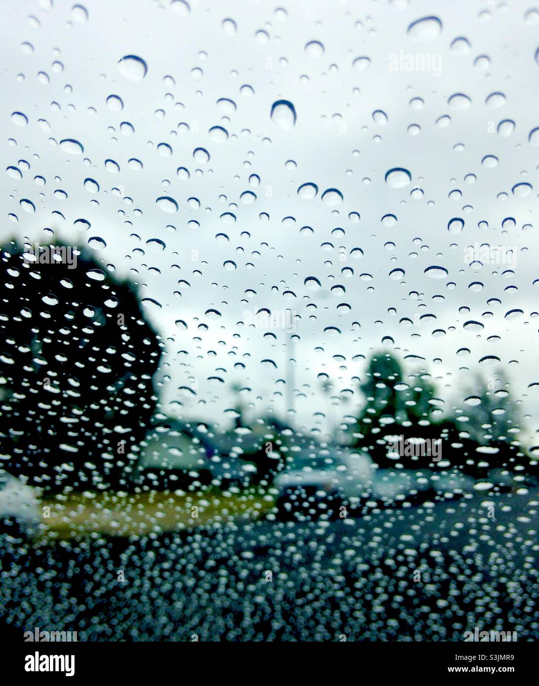 Raindrops on a car windshield Stock Photo