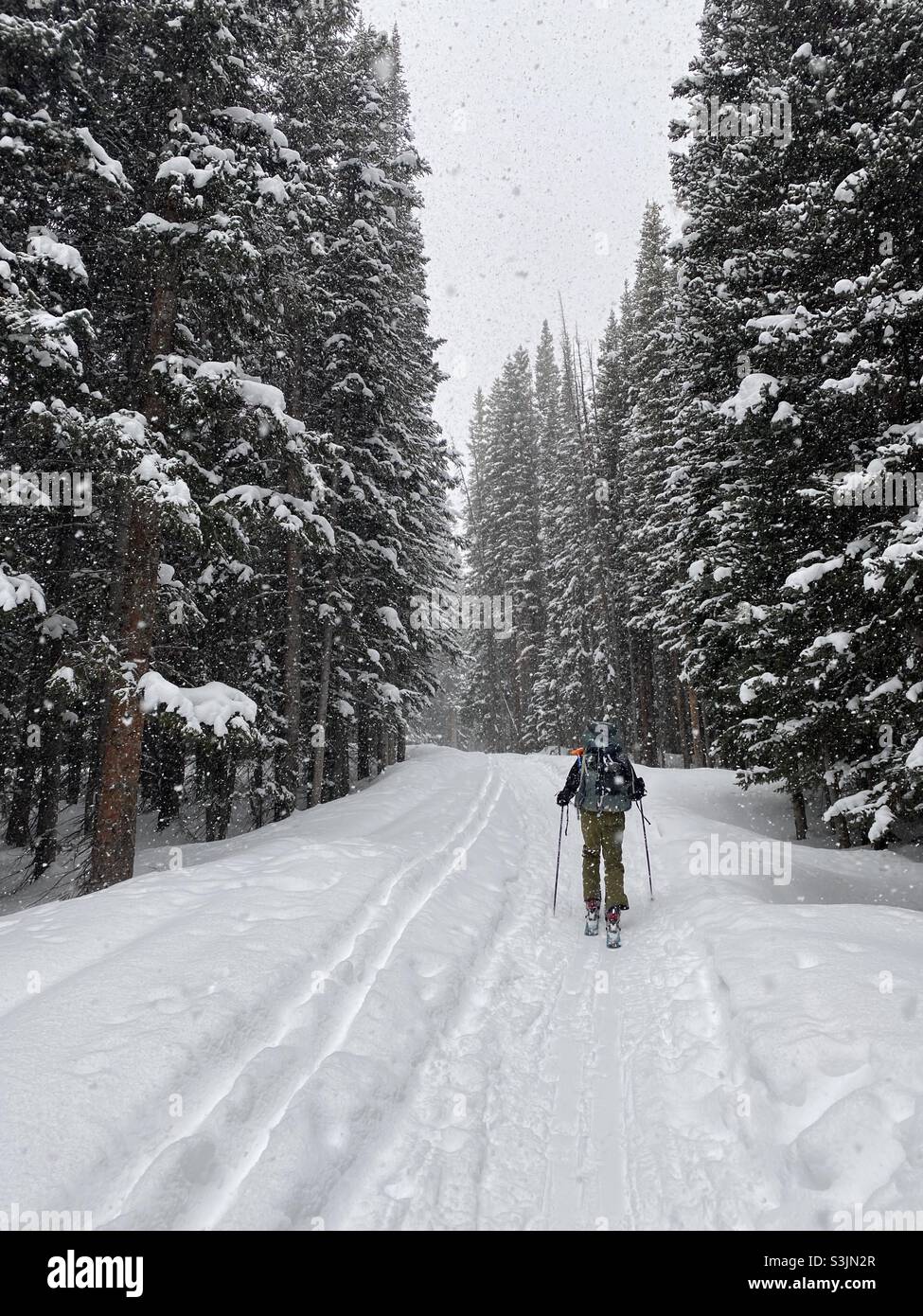 Backcountry skinning and snowshoeing in a spring snowstorm, Vail, Colorado, USA Stock Photo
