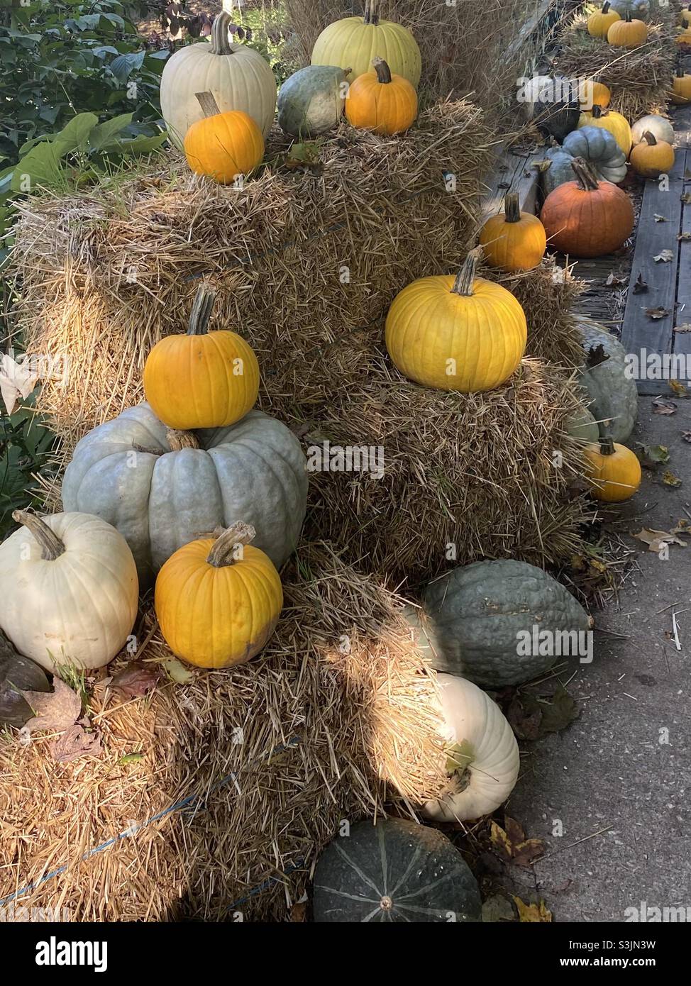 Pumpkins on bales of hay in the fall Stock Photo