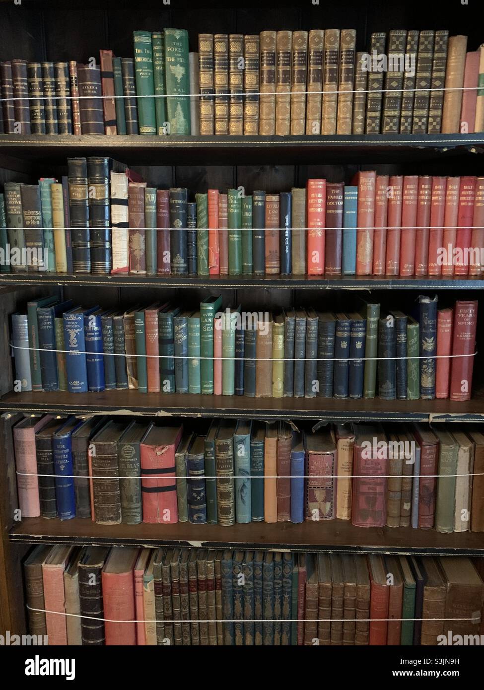 Books old and plentiful - Smartphone Captured Stock Image