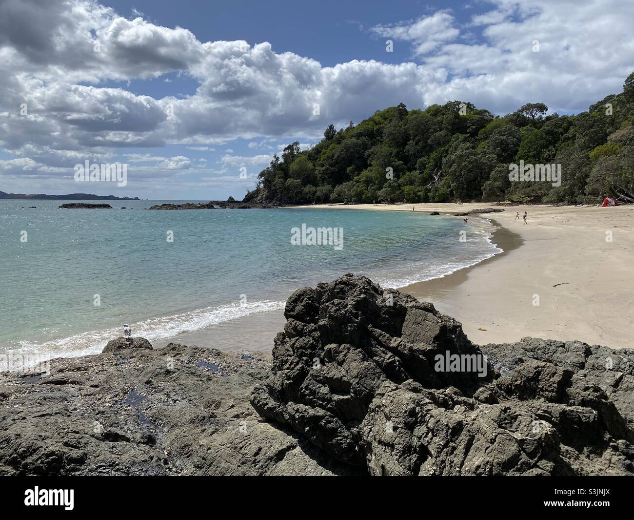 Whale Bay , Northland, New Zealand Stock Photo