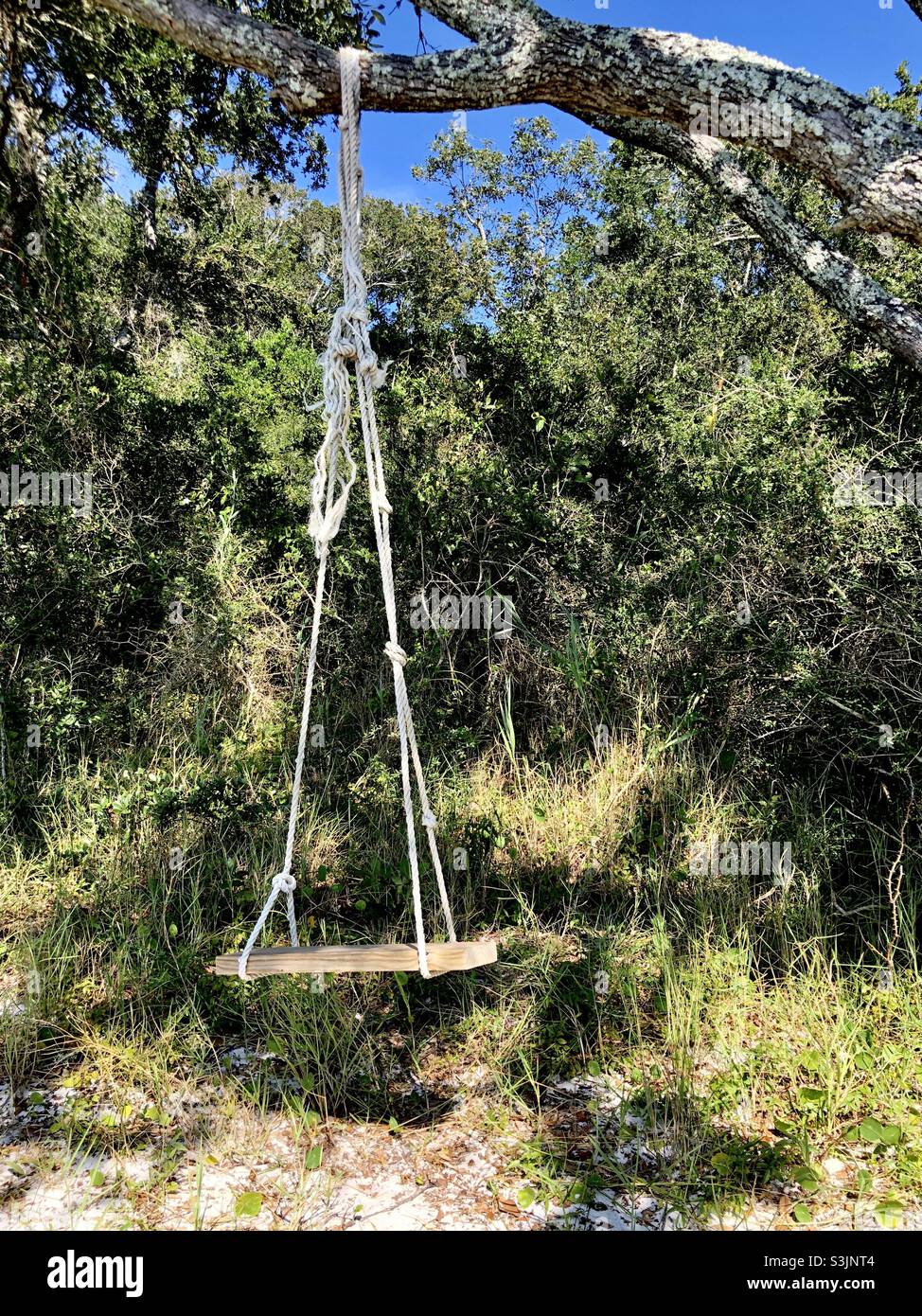 Rope swing woods hires stock photography and images Alamy