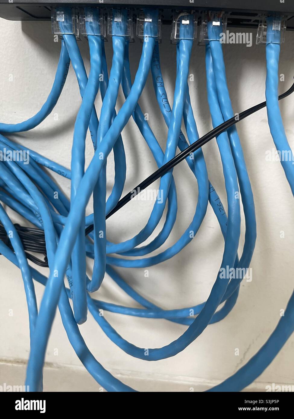 lan connector wires Stock Photo Alamy