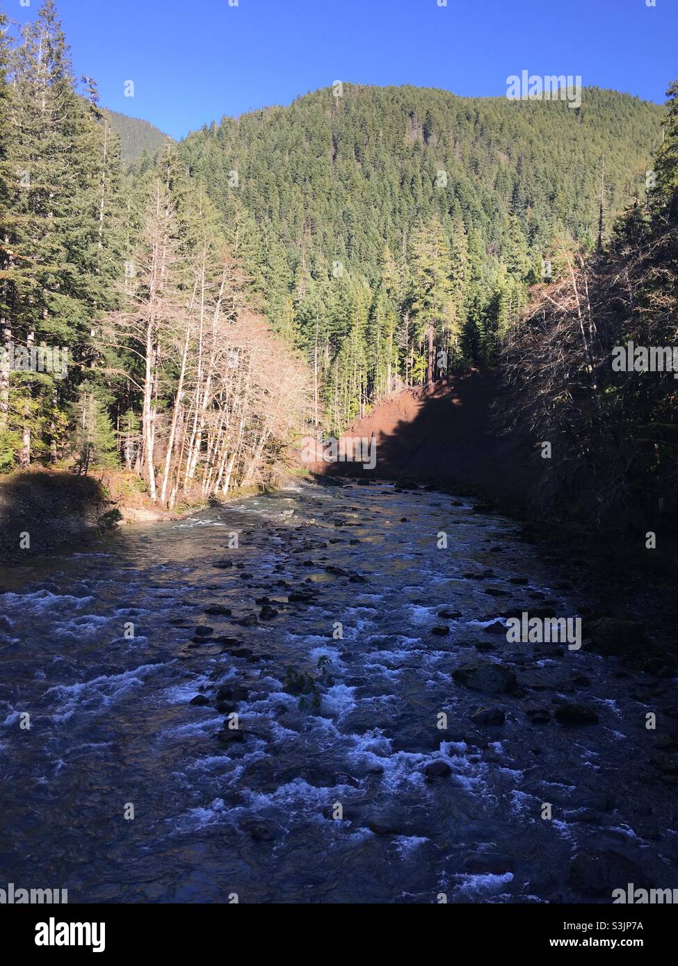 River at Olympic National Park Washington Stock Photo