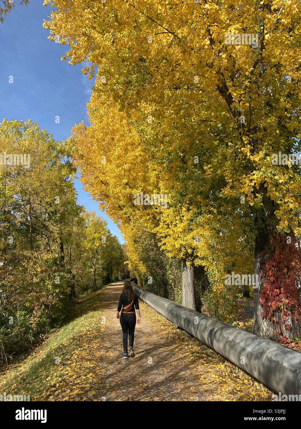 Autumn in Stuttgart, Germany Stock Photo - Alamy