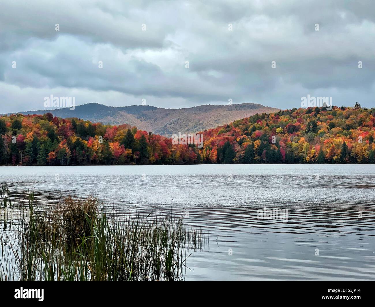 Fall foliage hits peak color along a lake in central Vermont. Stock Photo