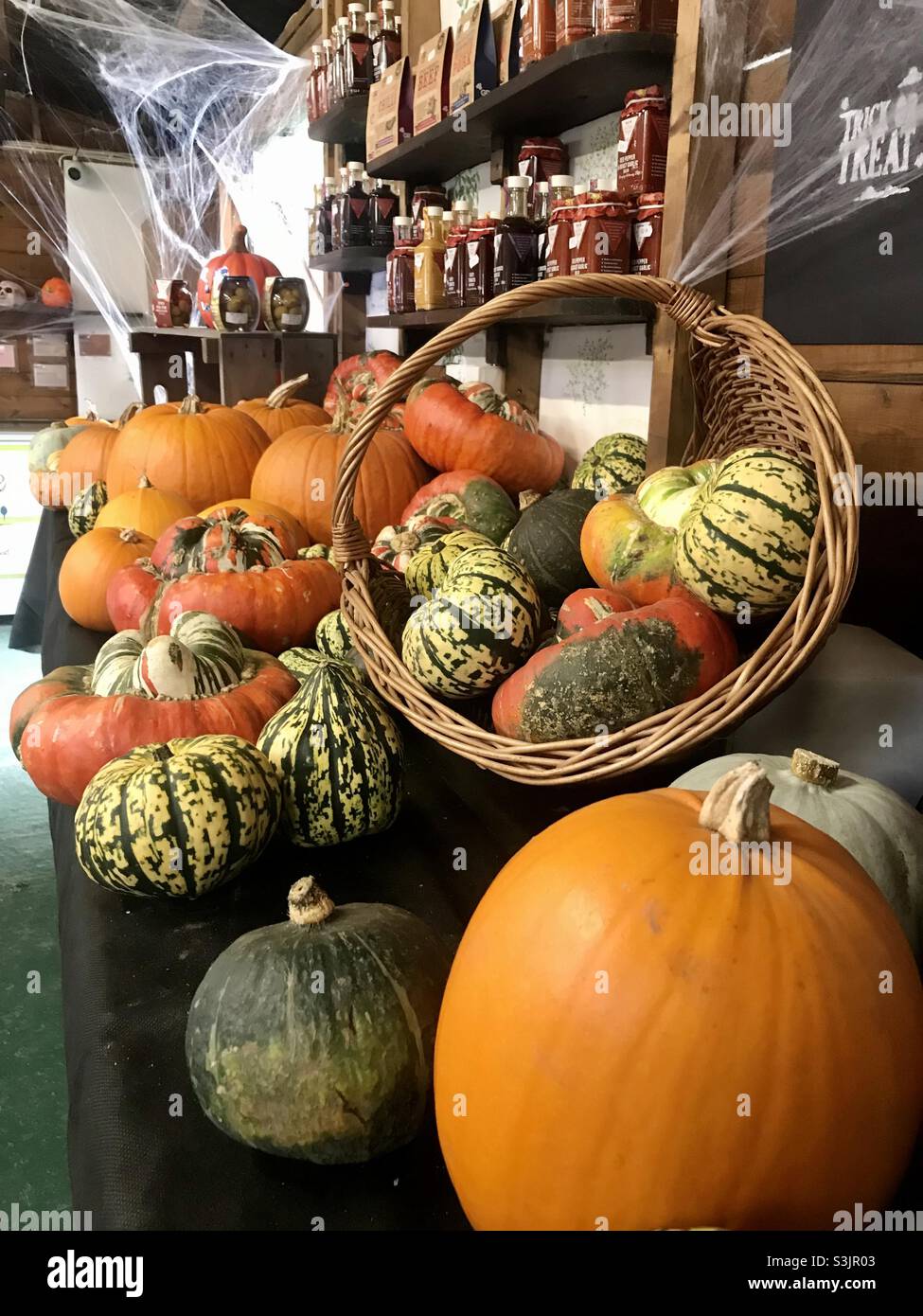 A selection of pumpkins and squashes on display in a shop during Halloween time Stock Photo