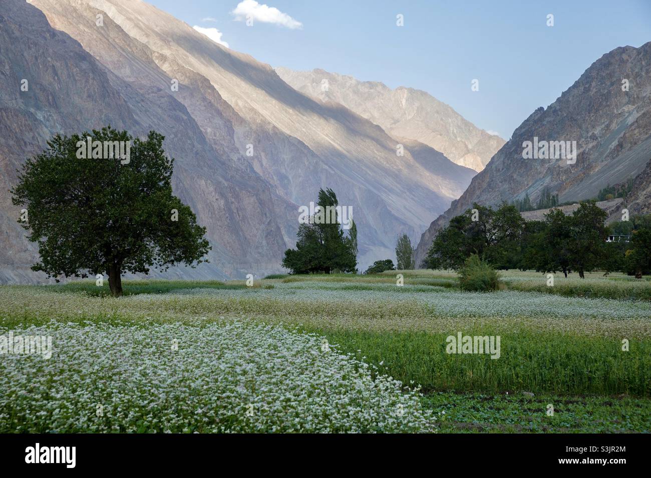 Turtuk, a village in Trans Himalaya in Ladakh, India Stock Photo - Alamy