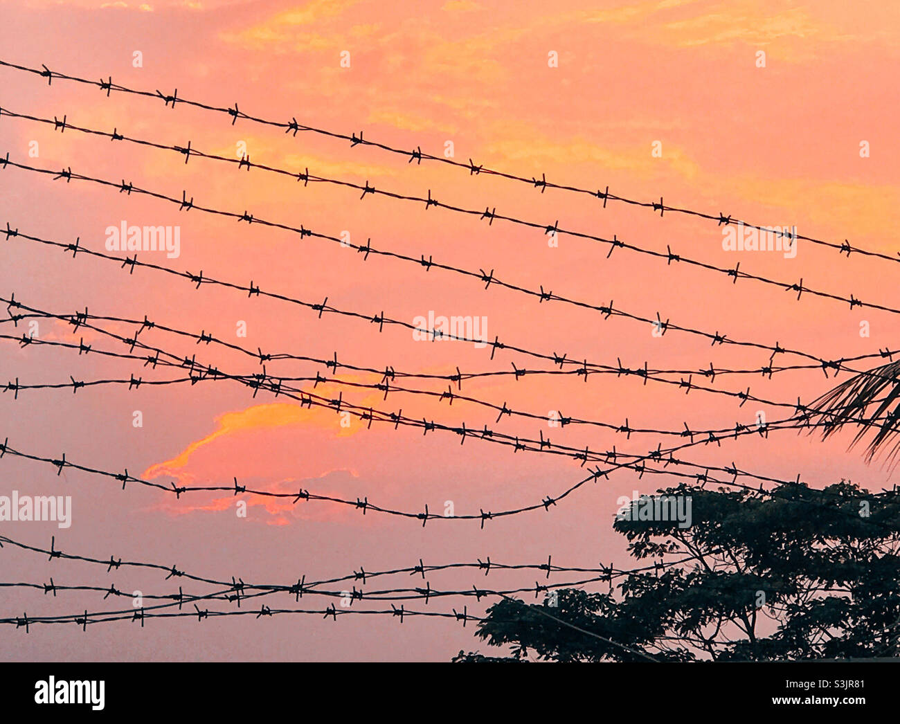 sunset barbed wire Stock Photo